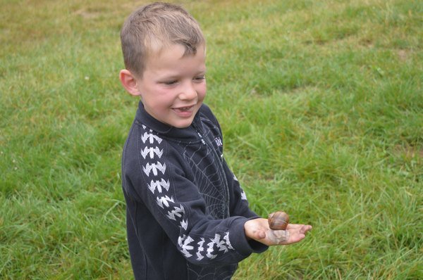 Nasser Fleck 2014 Bilder von Nico