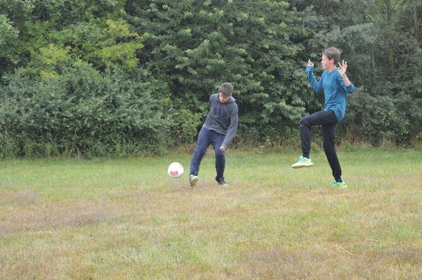 Nasser Fleck 2014 Bilder von Nico