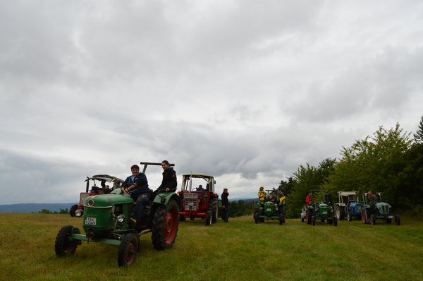 Nasser Fleck 2014 Bilder von Nico