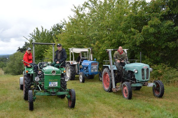 Nasser Fleck 2014 Bilder von Nico