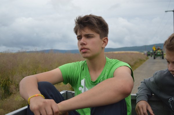 Nasser Fleck 2014 Bilder von Nico