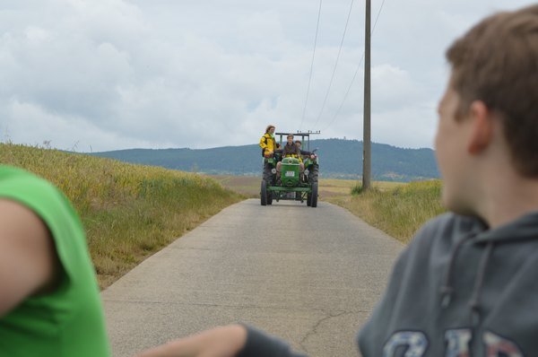 Nasser Fleck 2014 Bilder von Nico