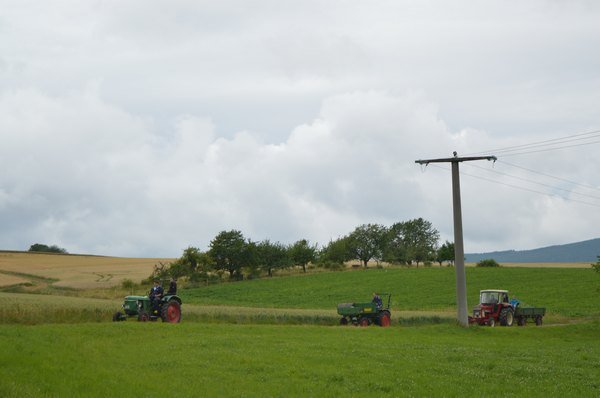 Nasser Fleck 2014 Bilder von Nico