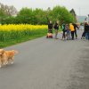 1.Mai Wanderung 2015 - Bilder von Nico