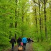 1.Mai Wanderung 2015 - Bilder von Nico