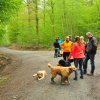 1.Mai Wanderung 2015 - Bilder von Nico